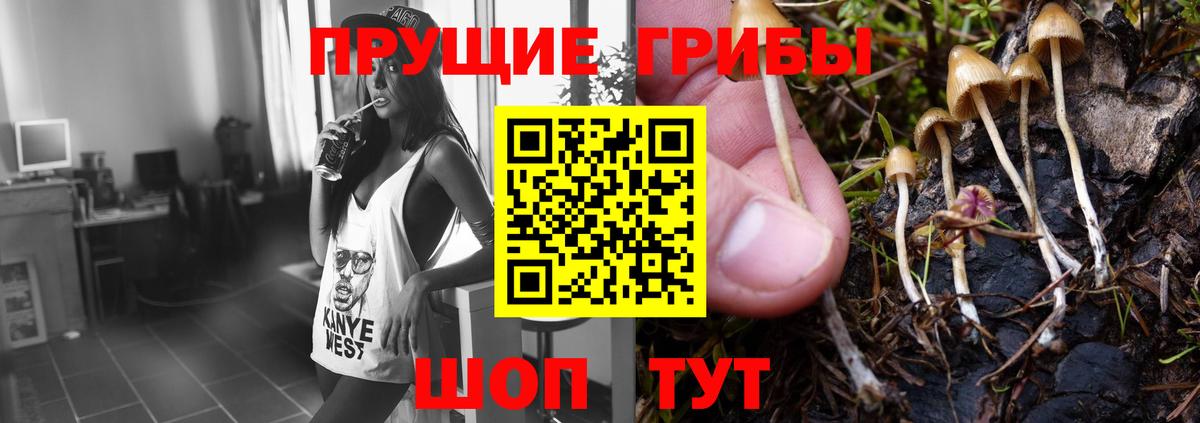 Псилоцибиновые грибы прущие грибы Нефтекумск