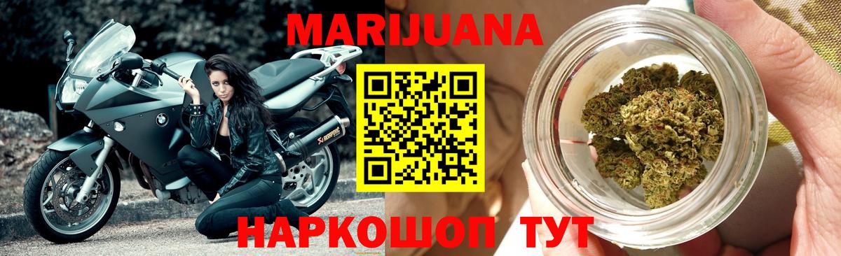Каннабис индика Нефтекумск